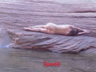 Shams66
