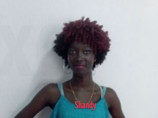 Shandy