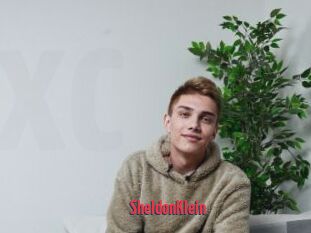 SheldonKlein