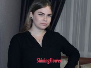 ShiningFlower