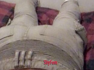 ShyFem