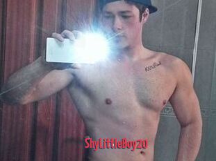 ShyLittleBoy20