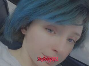 SkyBaby991