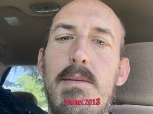 Snakec2018
