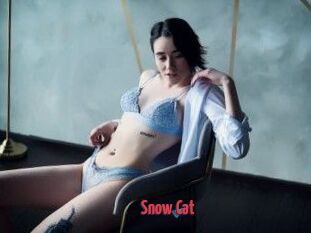 Snow_Cat