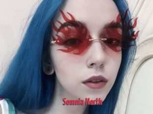 Somnia_North