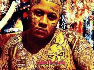 SpiderTheSnake