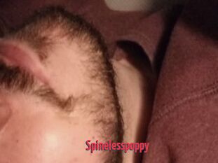 Spinelesspoppy