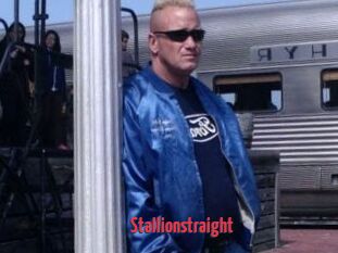 Stallionstraight