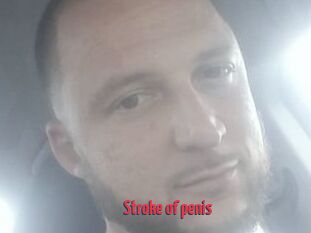 Stroke_of_penis