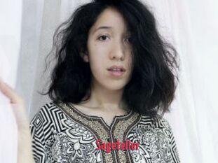 Sageteller