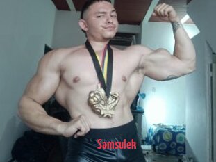 Samsulek