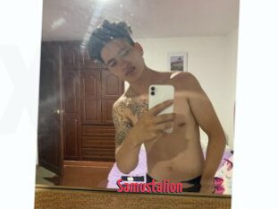 Samustalion
