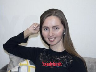 Sandybush