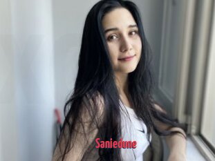 Saniedune