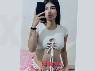 Sashagate