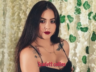 Scarlett_collins