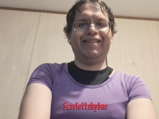 Scarlettskybar