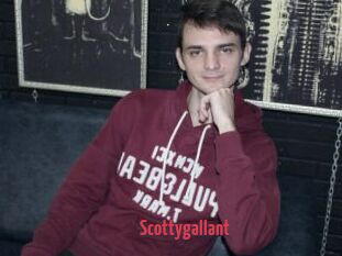 Scottygallant