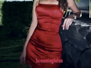Screaminglotus