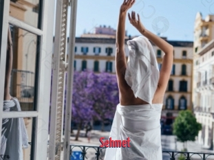 Sehmet