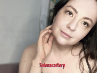 Selenacartery