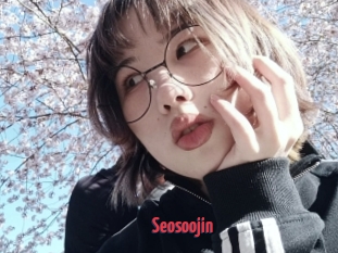 Seosoojin