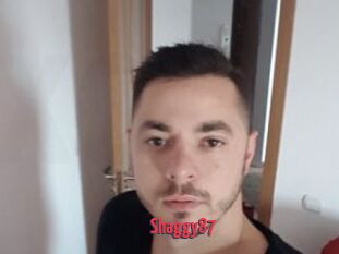 Shaggy87
