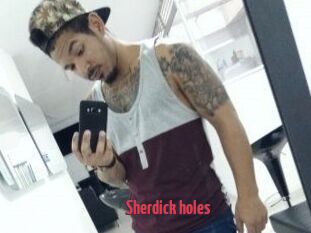 Sherdick_holes