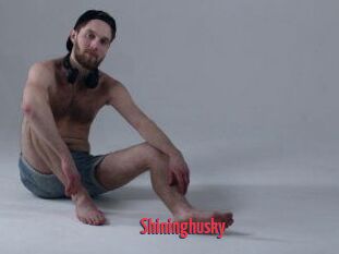 Shininghusky
