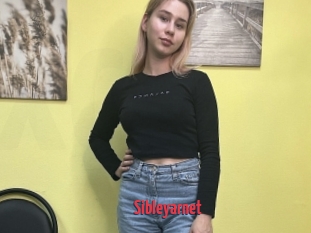 Sibleyarnet