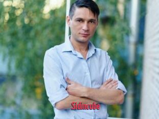 Sid_incube