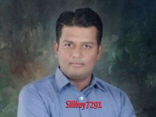 Siliboy7291