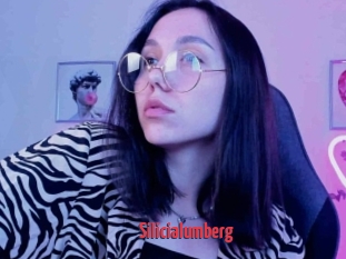 Silicialumberg