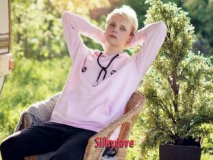 Silkydave
