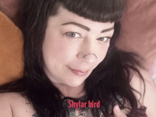Skylar_bird