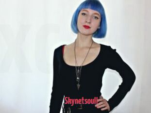 Skynetsoull