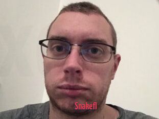 Snakefl