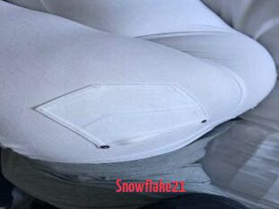 Snowflake21