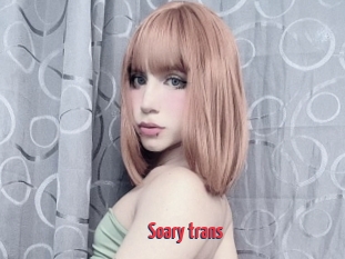 Soary_trans