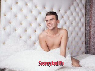 Sosexykarllfu