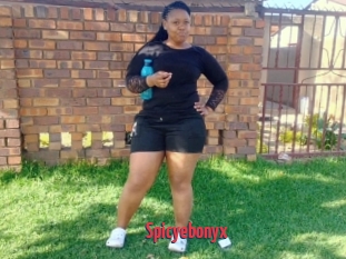 Spicyebonyx