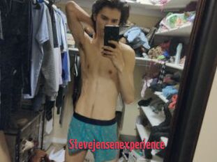 Stevejensenexperience