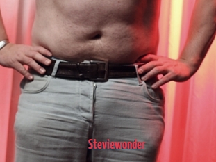 Steviewonder