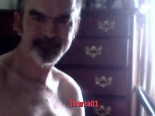 Stewco01