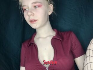Sundew