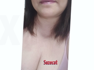Suzecat