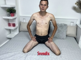 Svendix