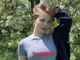 Synnebanwell
