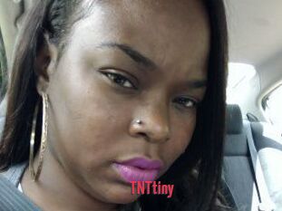 T_N_Ttiny